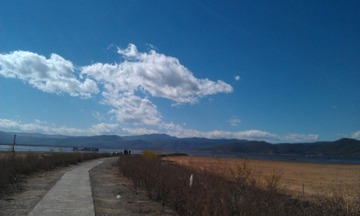 IMAG0362.jpg