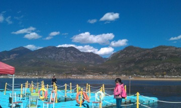 IMAG0365.jpg