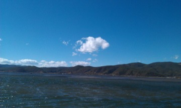 IMAG0368.jpg