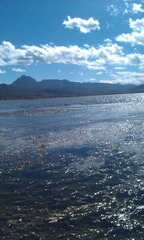 IMAG0373.jpg
