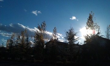 IMAG0382.jpg