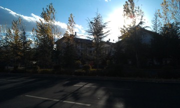 IMAG0383.jpg