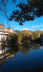 IMAG0387.jpg