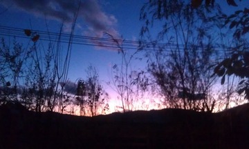IMAG0407.jpg
