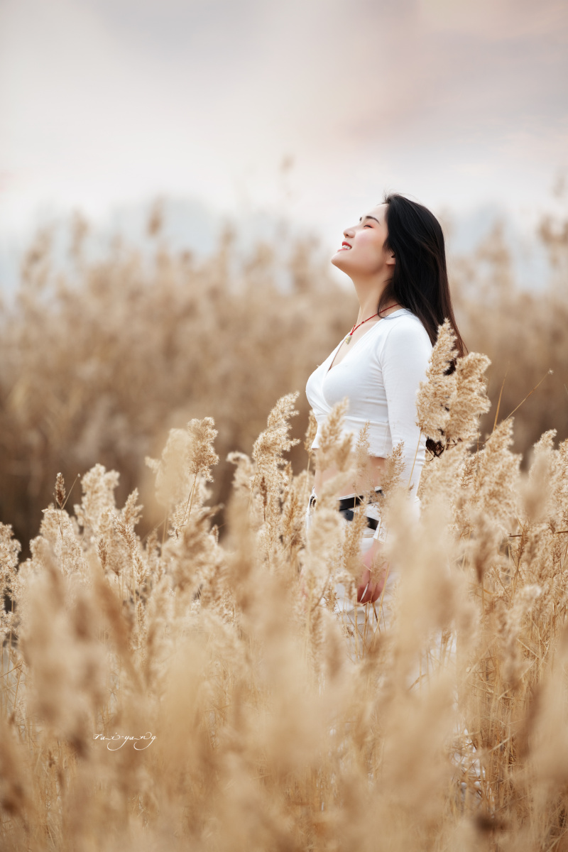 芦苇人像出镜晓雪