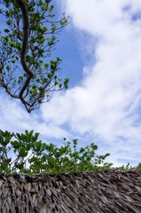 _IGP6449.jpg