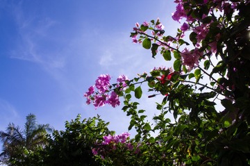 _IGP6612.jpg