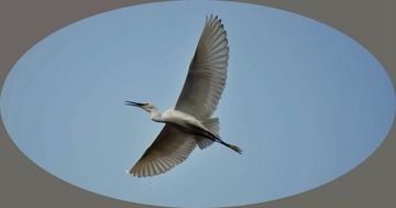 DSC_0771.jpg