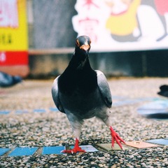 755901