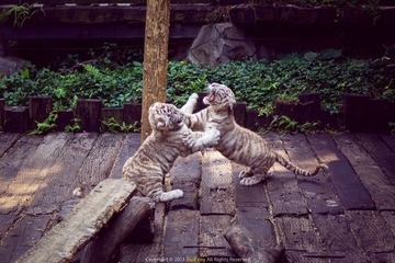 SAM_0514 tmp