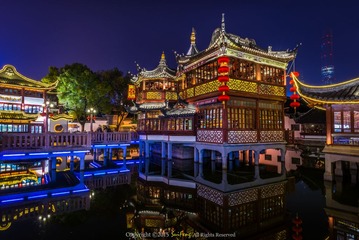 _DSC9311