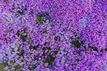 4B2CB8BF-C534-414E-A76C-8B6AE39705FA/L0/001