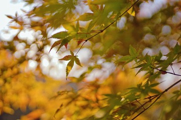 82F688D2-6237-4297-AFF5-3F731D40AB6E/L0/001