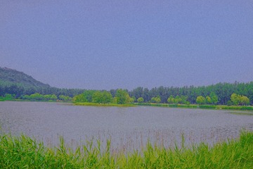 8C14D48E-D034-4757-ADF8-808384C3D543/L0/001