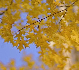 A2361C42-F572-4BA0-BDEF-A889AF4C4163/L0/001