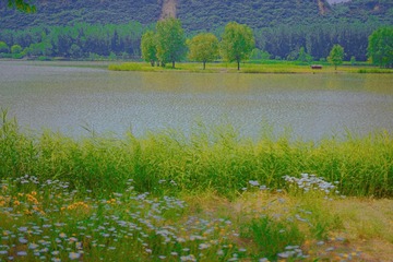 A75C8835-467F-4D49-B594-257AA4990070/L0/001