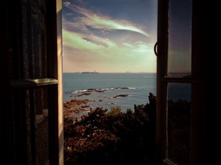 w.jpg