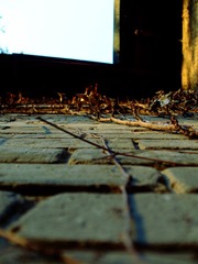 DSCF2273_副本.JPG