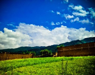 2012-07-19 14.38.22-1f.jpg