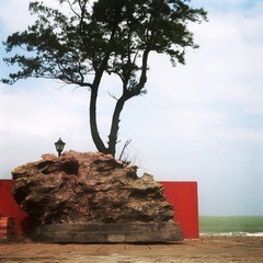 Image23