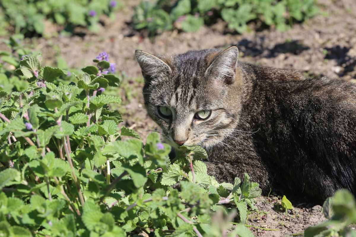 河源市商业中心