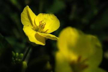 756336