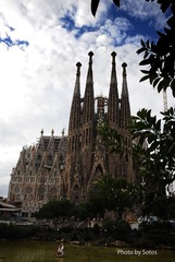 DSC_9474.jpg