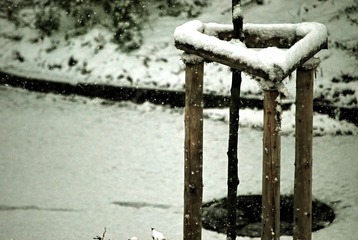 雪_无题