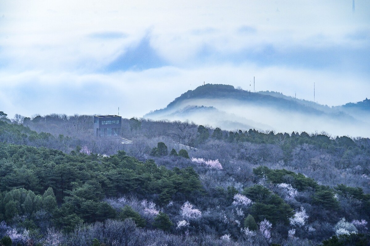 雷来了