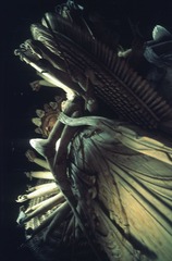 DLR_Scan2_121112_34.jpg