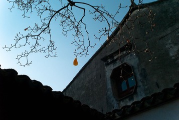 TongLi-10.jpg