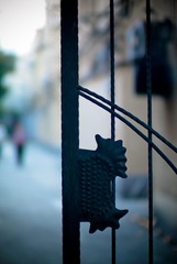 L1020110.jpg