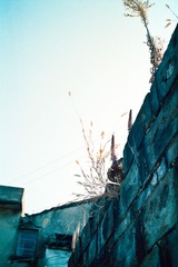 CN_Scan6_101112_06.jpg