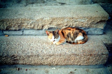 CN_Scan6_101112_29.jpg