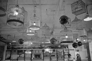 Scan_30240113_35.jpg