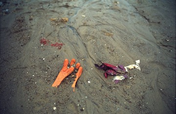 DLR_Scan3_121112_13.jpg