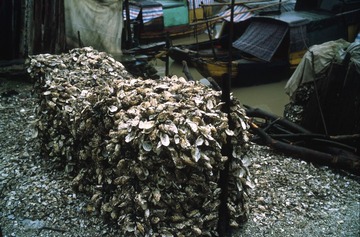 DLR_Scan3_121112_15.jpg