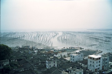 DLR_Scan4_141112_11.jpg