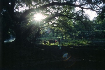 DLR_Scan5_151112_18.jpg