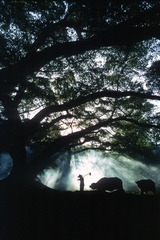 DLR_Scan5_151112_21.jpg