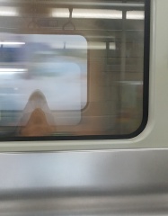 1000024434