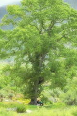 DSCF3529-编辑