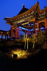 DSCF7829.jpg