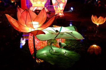DSCF7878.jpg