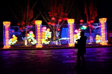 DSCF7914.jpg