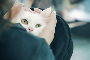 DSCF1608.jpg