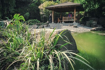 DSCF1587.jpg