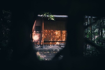 DSCF1600.jpg