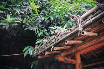 DSCF1604.jpg
