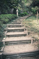 DSCF1584.jpg